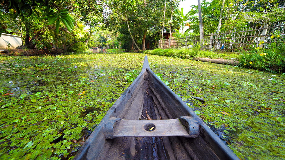 Expert travel guide to Kerala - canoe on the backwaters